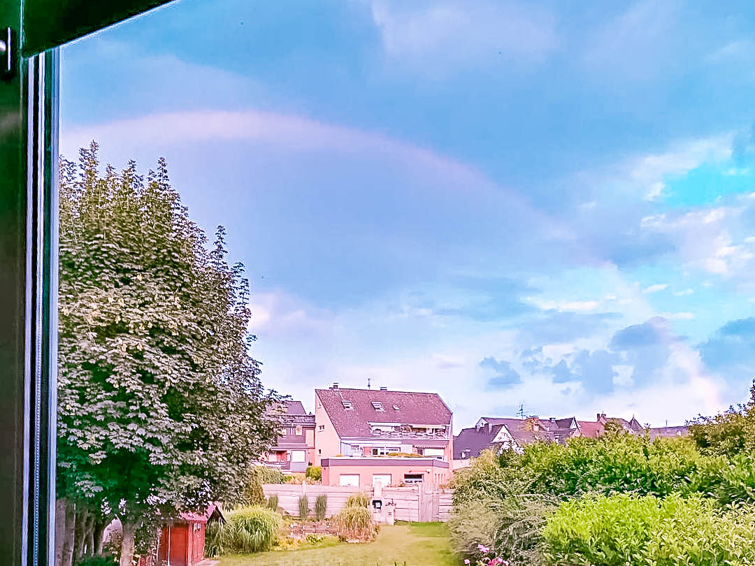 Grünblick Grünblick