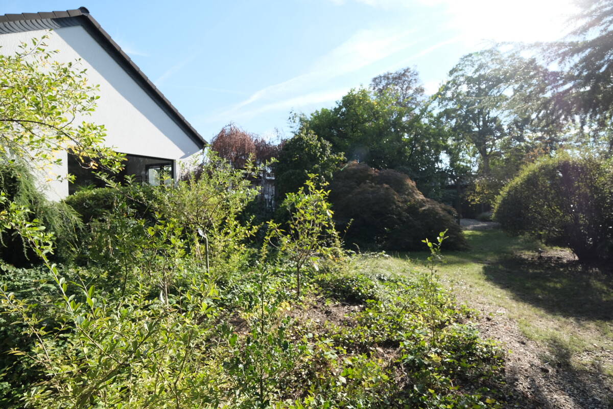 Das große Grundstück