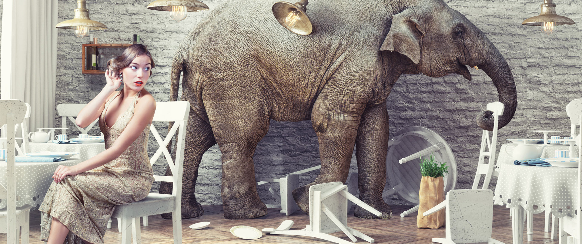 Elefant_bearbeitet.jpg Elefant_bearbeitet.jpg