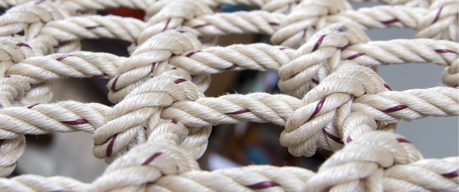 Netzwerk_Header.png Netzwerk_Header.png