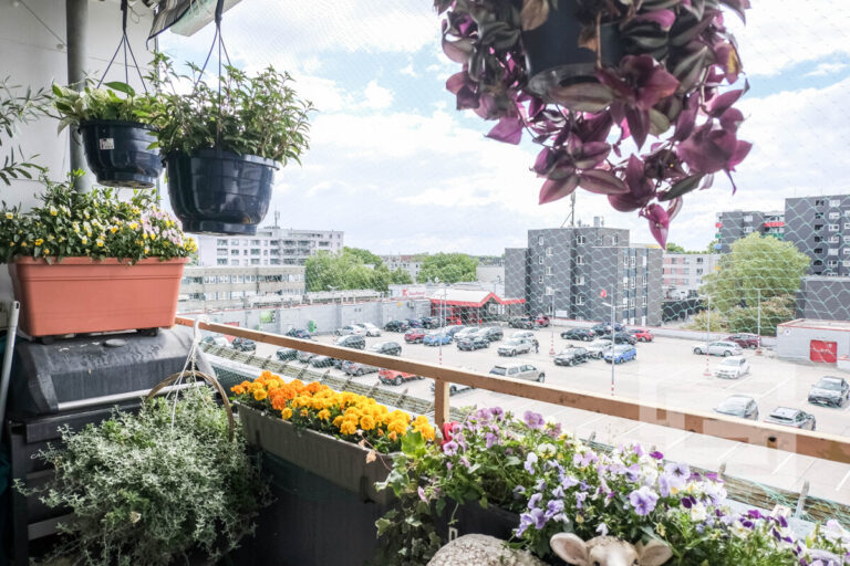 Wohnung 3